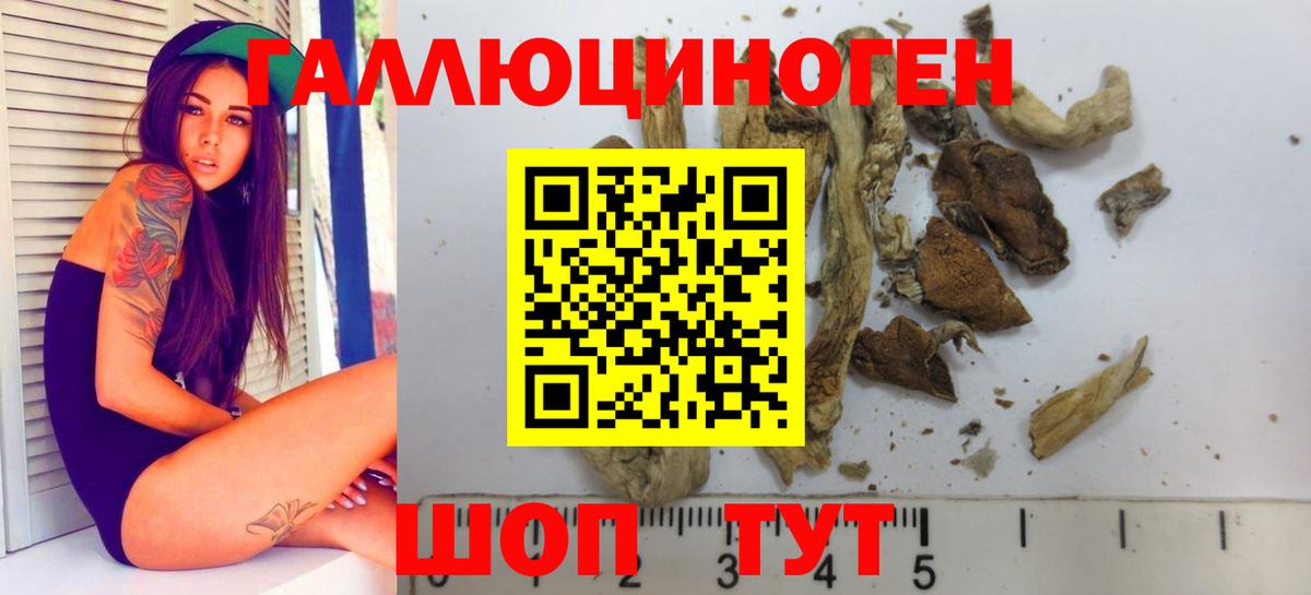 Псилоцибиновые грибы Magic Shrooms Саратов